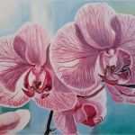 Pastellmalerei Vorlagen Beste orchids Ölmalerei Pastellmalerei Blumen orchidee Von