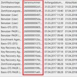 Pat Verfügung Vorlage Hübsch Active Directory Zertifikats Nste Teil 7