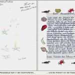 Patenkind Brief Schreiben Vorlage Angenehm Schulpatenkind