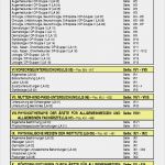 Patientendokumentation Vorlage Best Of Ris Dokument