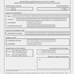 Patientenerklärung Europäische Krankenversicherung Vorlage Wunderbar Ris Dokument