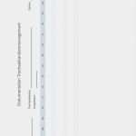 Patientenkurve Vorlage Gut Dokumentation Trachealkanülen Management Dysphagie