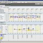 Patientenkurve Vorlage Neu Pflegemanagement Psychiatrie