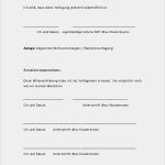 Patientenverfügung 2018 Vorlage Süß Betreuungsverfügung Muster Vorlage Zum Download