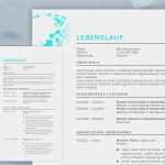 Patientenverfügung Vorlage 2017 Erstaunlich Muster Lebenslauf 2017 Meinebewerbung