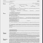 Patientenverfügung Vorlage Kostenlos Best Of Patientenverfügung Vordruck