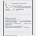 Patientenverfügung Vorlage Pdf Neu Patientenverfügung 2837