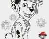 Paw Patrol Laterne Basteln Vorlagen Best Of Paw Patrol Ausmalbilder