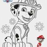 Paw Patrol Laterne Basteln Vorlagen Best Of Paw Patrol Ausmalbilder