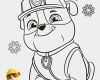 Paw Patrol Laterne Basteln Vorlagen Beste Paw Patrol Ausmalbilder