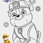 Paw Patrol Laterne Basteln Vorlagen Beste Paw Patrol Ausmalbilder