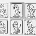 Paw Patrol Laterne Basteln Vorlagen Bewundernswert Paw Patrol 10