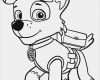 Paw Patrol Laterne Basteln Vorlagen Erstaunlich Die Besten 25 Schablonen Zum Ausdrucken Ideen