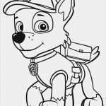 Paw Patrol Laterne Basteln Vorlagen Erstaunlich Die Besten 25 Schablonen Zum Ausdrucken Ideen