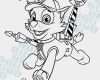 Paw Patrol Laterne Basteln Vorlagen Erstaunlich Paw Patrol Ausmalbilder