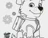 Paw Patrol Laterne Basteln Vorlagen Genial Paw Patrol Ausmalbilder