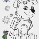 Paw Patrol Laterne Basteln Vorlagen Genial Paw Patrol Ausmalbilder