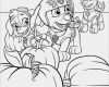 Paw Patrol Laterne Basteln Vorlagen Großartig Paw Patrol 9