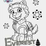 Paw Patrol Laterne Basteln Vorlagen Hübsch Paw Patrol Ausmalbilder