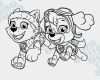 Paw Patrol Laterne Basteln Vorlagen Inspiration Paw Patrol Ausmalbilder