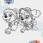 Paw Patrol Laterne Basteln Vorlagen Inspiration Paw Patrol Ausmalbilder