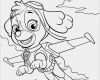 Paw Patrol Laterne Basteln Vorlagen Süß Paw Patrol Ausmalbilder Kostenlos Malvorlagen Windowcolor