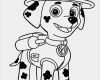 Paw Patrol Logo Vorlage Best Of 29 Elegant Paw Patrol Vorlage