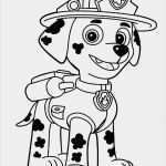Paw Patrol Logo Vorlage Best Of 29 Elegant Paw Patrol Vorlage