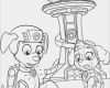 Paw Patrol Logo Vorlage Erstaunlich Paw Patrol Ausmalbilder Superbbondfo