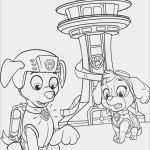 Paw Patrol Logo Vorlage Erstaunlich Paw Patrol Ausmalbilder Superbbondfo