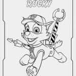 Paw Patrol Logo Vorlage Genial 25 Besten Paw Patrol Bilder Auf Pinterest