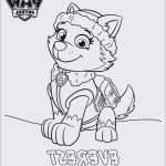 Paw Patrol Logo Vorlage Hübsch 29 Elegant Paw Patrol Vorlage