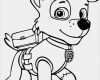 Paw Patrol Logo Vorlage Hübsch Paw Patrol Svg