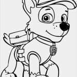 Paw Patrol Logo Vorlage Hübsch Paw Patrol Svg