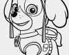 Paw Patrol Logo Vorlage Wunderbar Paw Patrol Skye Ausmalbild 489 Malvorlage Paw Patrol