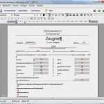 Pdf Vorlage Zum Ausfüllen Erstellen Wunderbar Rorig software Hilfe Zeugnisformulare Verändern Oder