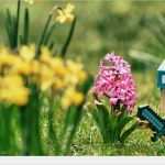 Pecha Kucha Powerpoint Vorlage Luxus Pecha Kucha Vorlage Mit Optischem Folienübergang Ppt