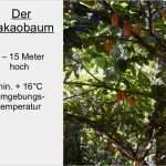 Pecha Kucha Präsentation Vorlage Angenehm Schokolade Pecha Kucha Präsentation Von Martin