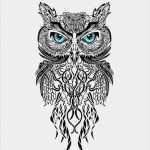 Pen and Paper Vorlagen Angenehm sowa Na Pomysły Zszywka