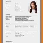 Perfekter Lebenslauf Vorlage 2018 Angenehm 9 Perfekter Lebenslauf