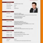 Perfekter Lebenslauf Vorlage 2018 Beste 9 Perfekter Lebenslauf
