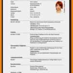 Perfekter Lebenslauf Vorlage 2018 Einzigartig 8 Perfekter Lebenslauf Muster