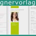 Perfekter Lebenslauf Vorlage 2018 Elegant 11 Perfekter Lebenslauf Muster