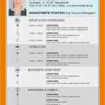 Perfekter Lebenslauf Vorlage 2018 Erstaunlich 7 Perfekter Lebenslauf 2016