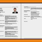 Perfekter Lebenslauf Vorlage 2018 Schön 9 Perfekter Lebenslauf