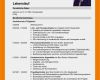Perfekter Lebenslauf Vorlage 2018 Wunderbar 7 Perfekter Lebenslauf 2016