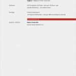 Perlenhäkeln Muster Vorlagen Neu Bewerbungsmuster Animateur