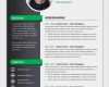 Persona Vorlage Download Fabelhaft 25 Beste Ideeën Over Cv Sjabloon Op Pinterest Creative