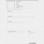 Persona Vorlage Download Wunderbar Customer Persona Template