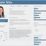 Persona Vorlage Powerpoint Erstaunlich Buyer Personas Das Erfolgsrezept Für Dein Content Marketing